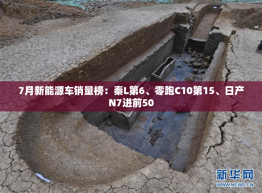 7月新能源车销量榜：秦L第6、零跑C10第15、日产N7进前50