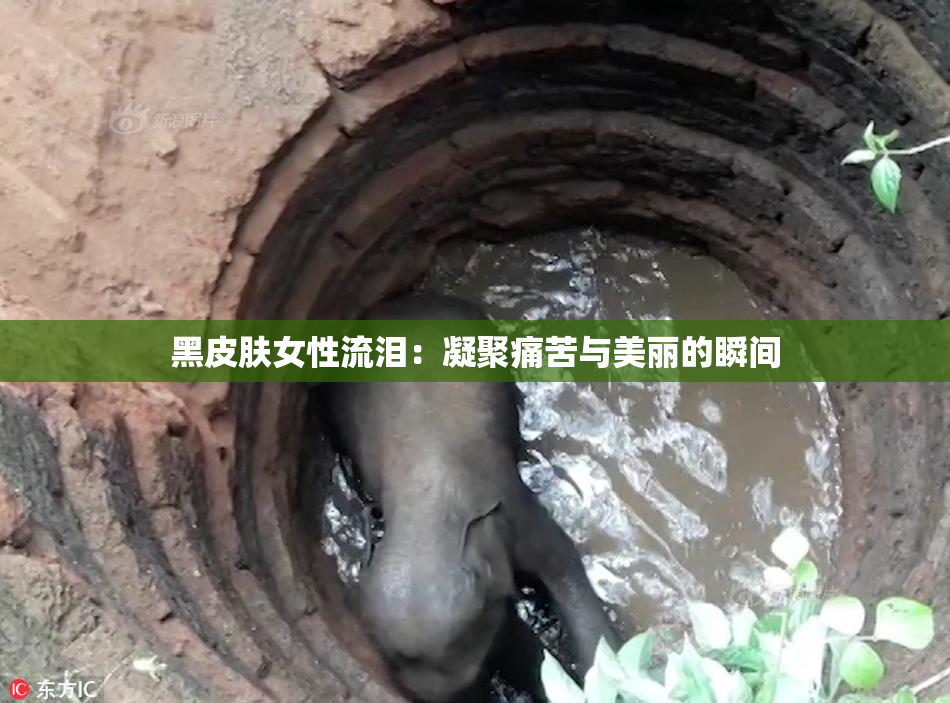 黑皮肤女性流泪：凝聚痛苦与美丽的瞬间