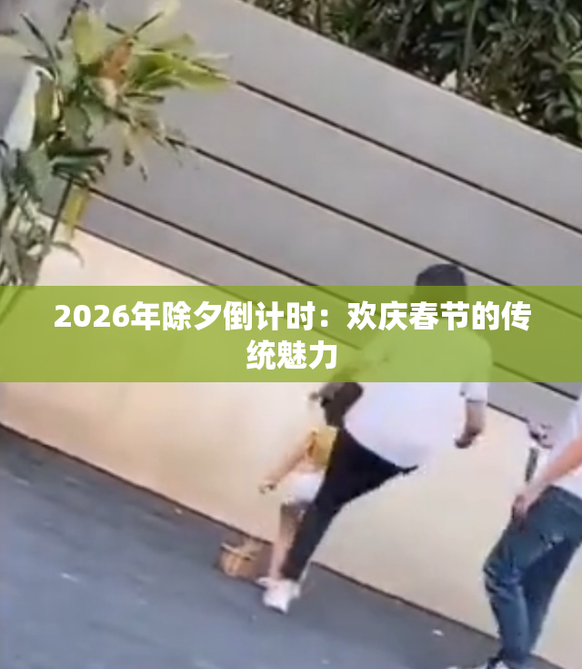 2026年除夕倒计时：欢庆春节的传统魅力