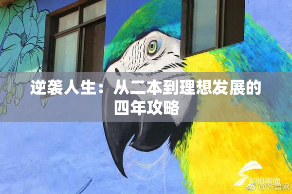 逆袭人生：从二本到理想发展的四年攻略