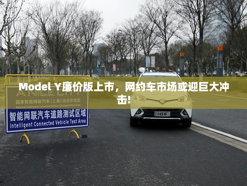 Model Y廉价版上市，网约车市场或迎巨大冲击!