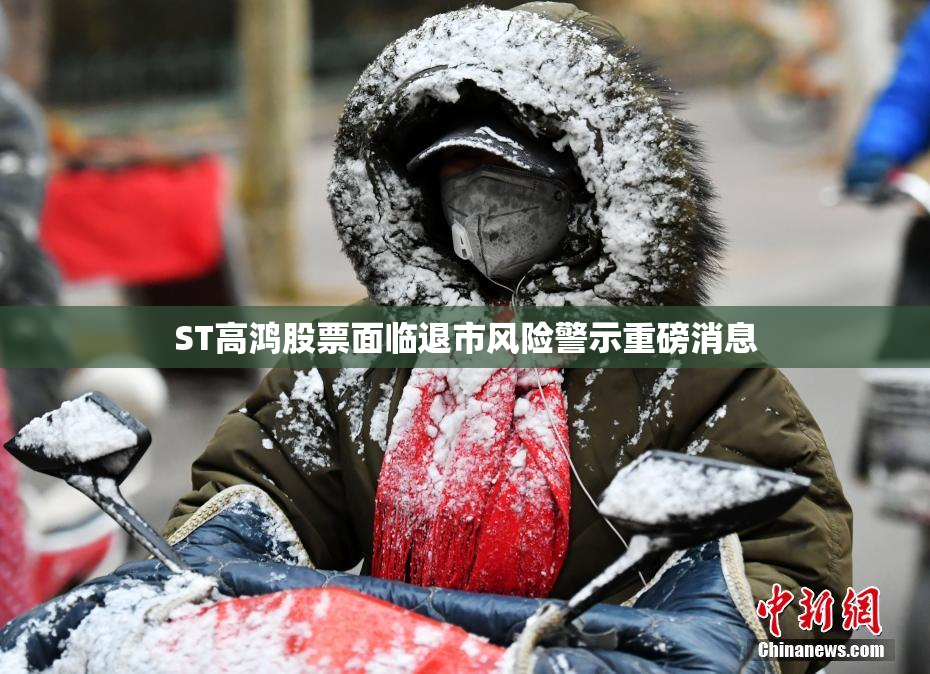 ST高鸿股票面临退市风险警示重磅消息