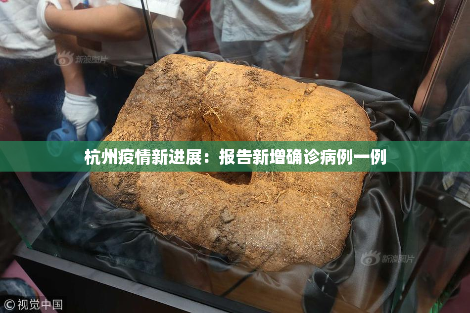 杭州疫情新进展：报告新增确诊病例一例