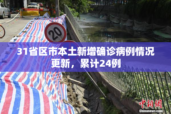 31省区市本土新增确诊病例情况更新，累计24例