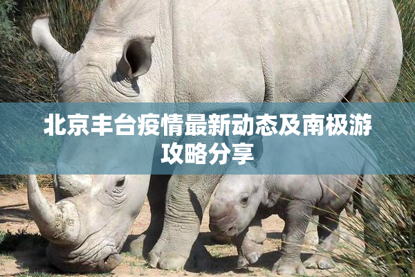 北京丰台疫情最新动态及南极游攻略分享