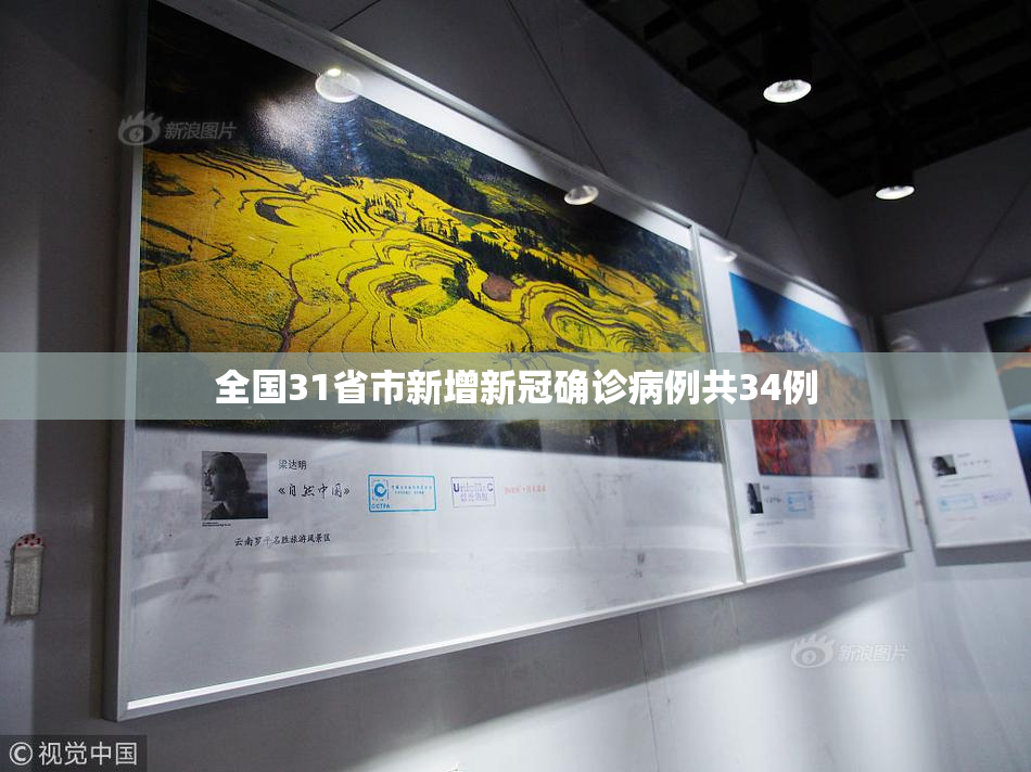 全国31省市新增新冠确诊病例共34例