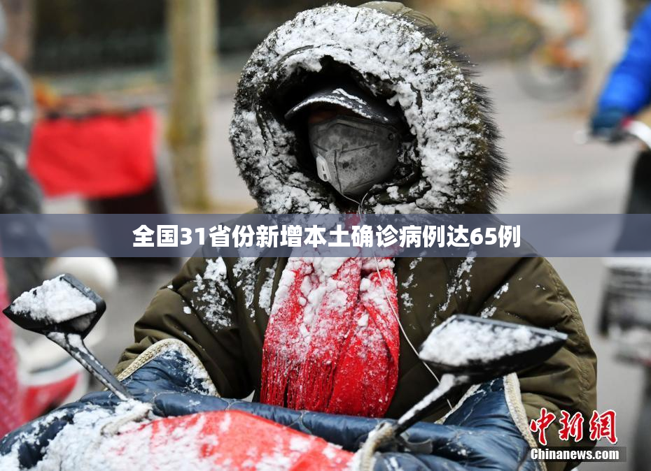 全国31省份新增本土确诊病例达65例