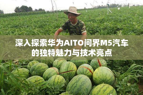 深入探索华为AITO问界M5汽车的独特魅力与技术亮点