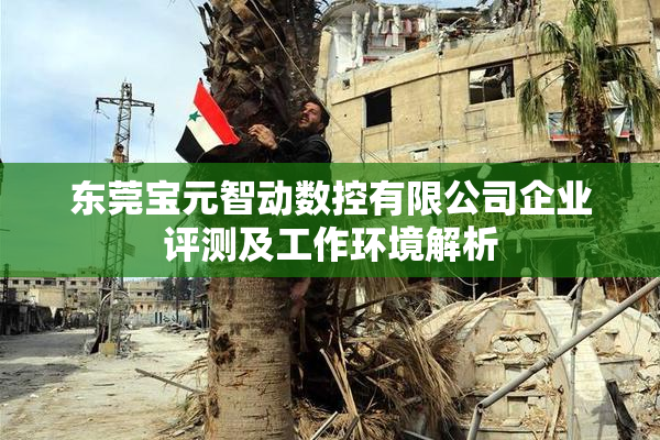 东莞宝元智动数控有限公司企业评测及工作环境解析