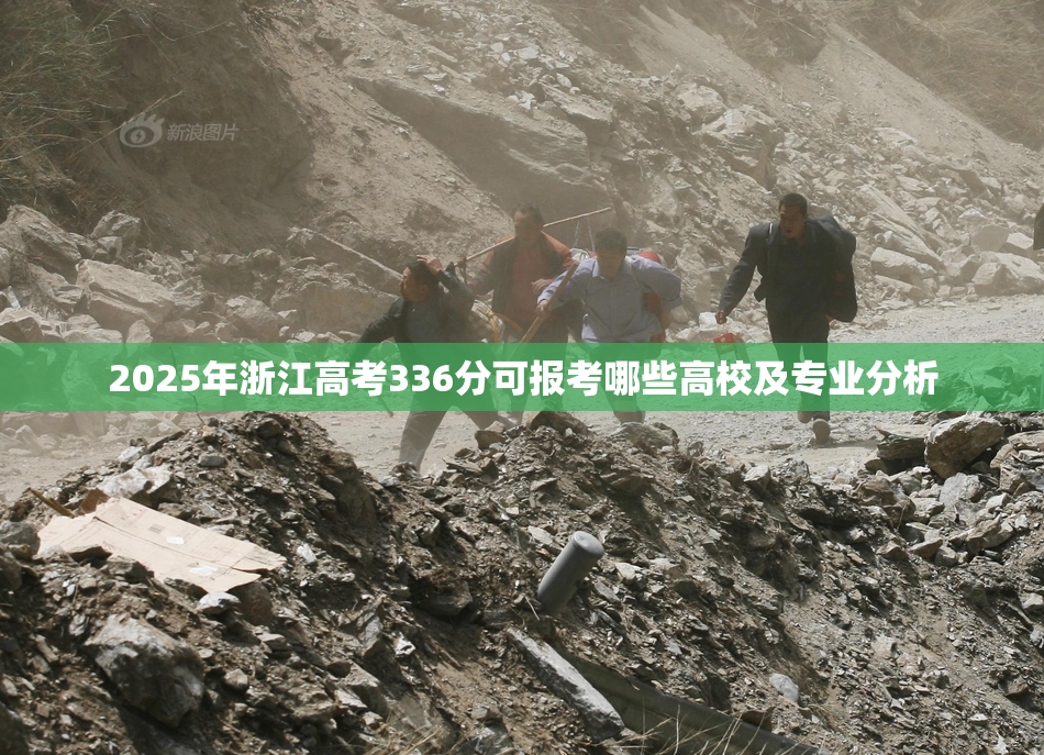 2025年浙江高考336分可报考哪些高校及专业分析
