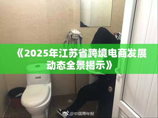 《2025年江苏省跨境电商发展动态全景揭示》