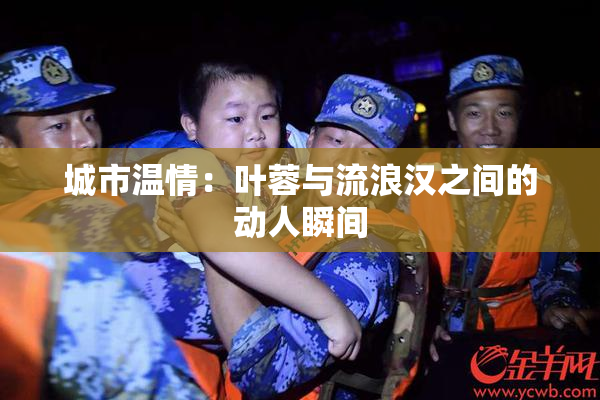 城市温情：叶蓉与流浪汉之间的动人瞬间