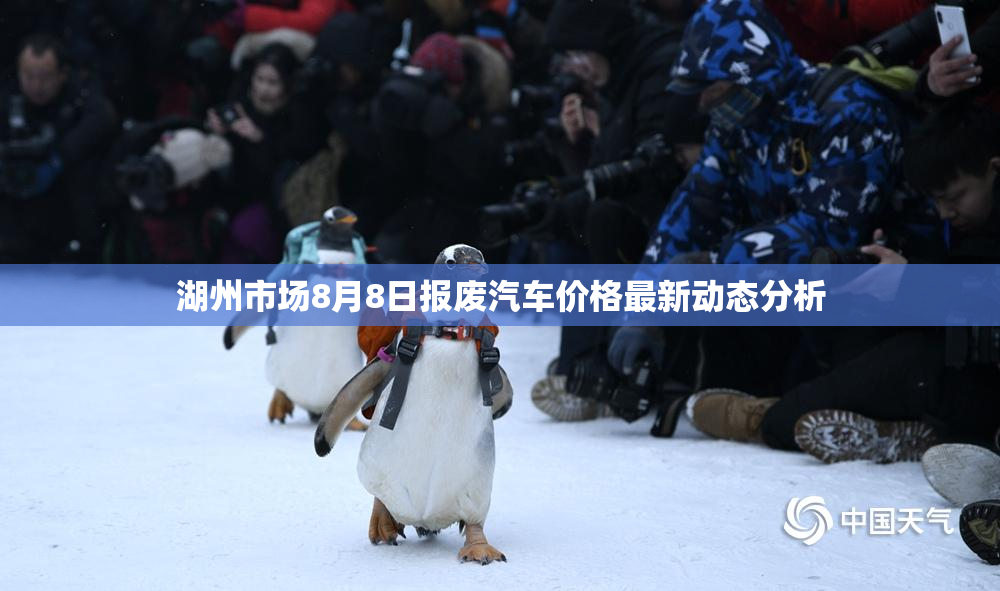 湖州市场8月8日报废汽车价格最新动态分析