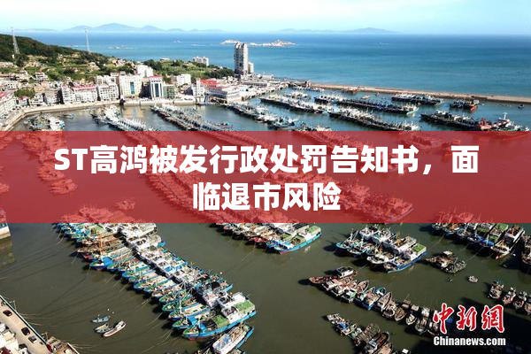 ST高鸿被发行政处罚告知书，面临退市风险