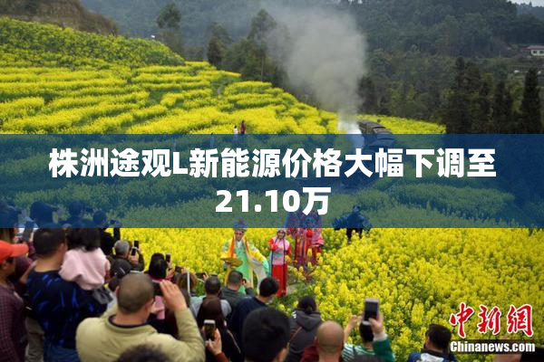 株洲途观L新能源价格大幅下调至21.10万