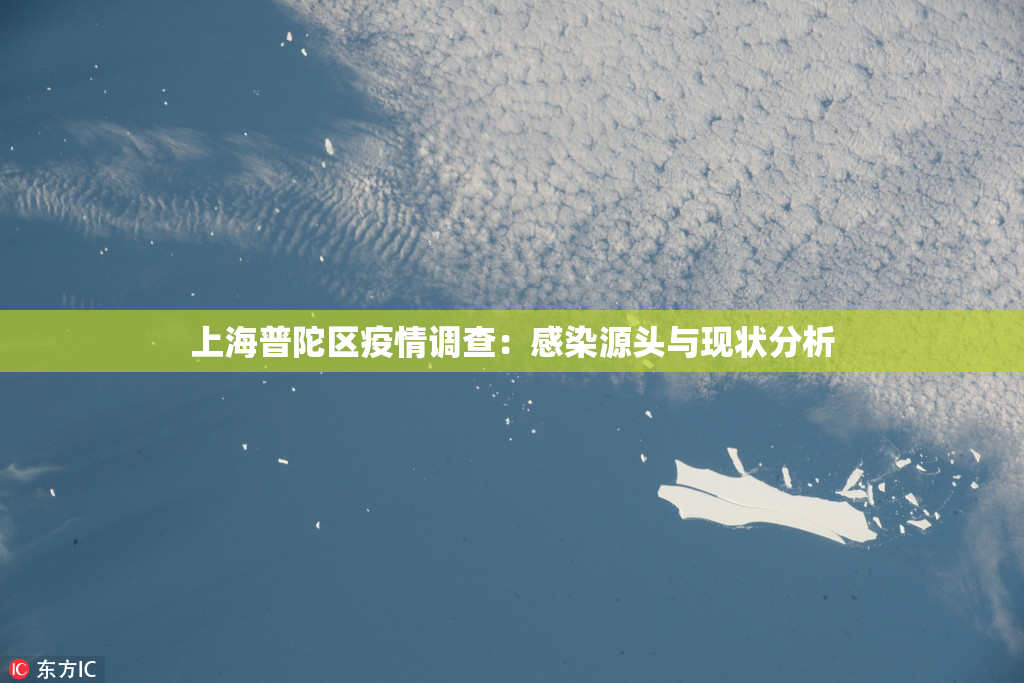 上海普陀区疫情调查：感染源头与现状分析