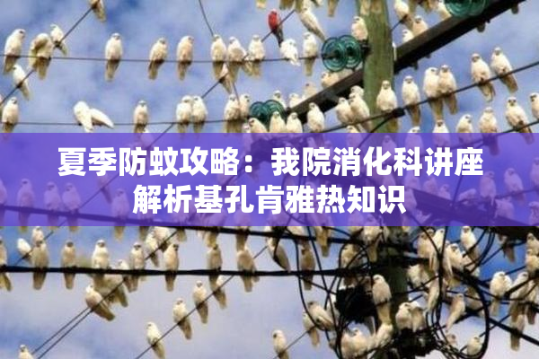夏季防蚊攻略：我院消化科讲座解析基孔肯雅热知识