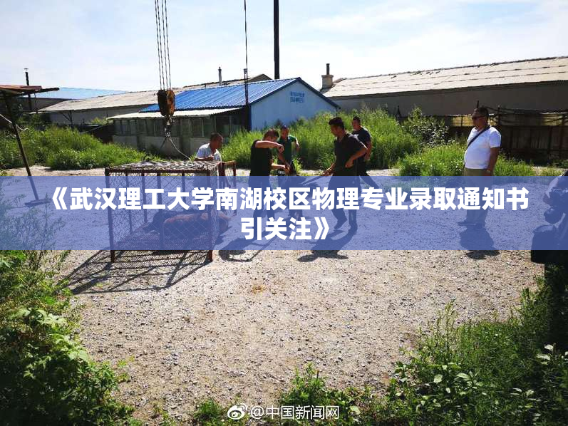 《武汉理工大学南湖校区物理专业录取通知书引关注》