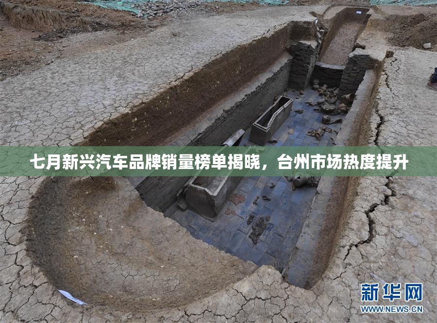七月新兴汽车品牌销量榜单揭晓，台州市场热度提升