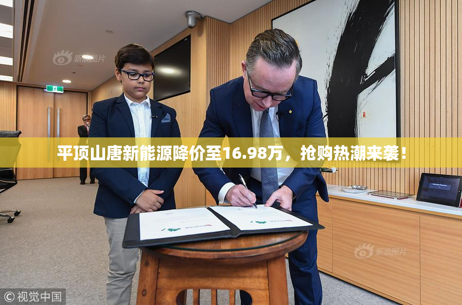 平顶山唐新能源降价至16.98万，抢购热潮来袭！