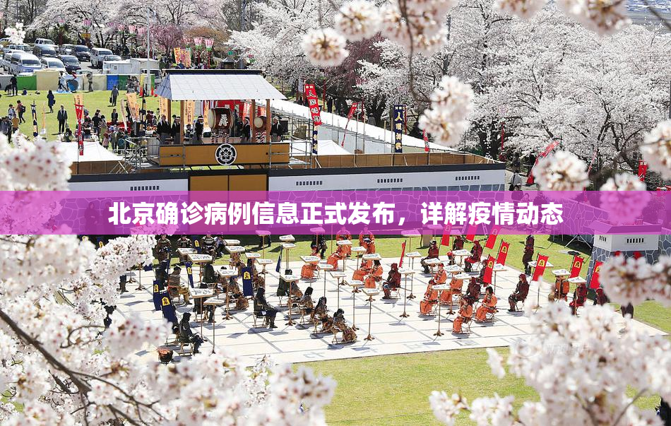 北京确诊病例信息正式发布，详解疫情动态