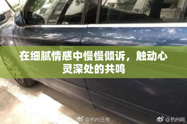 在细腻情感中慢慢倾诉，触动心灵深处的共鸣