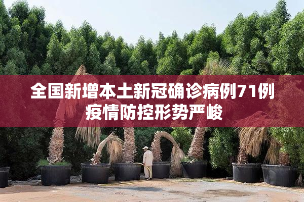 全国新增本土新冠确诊病例71例 疫情防控形势严峻