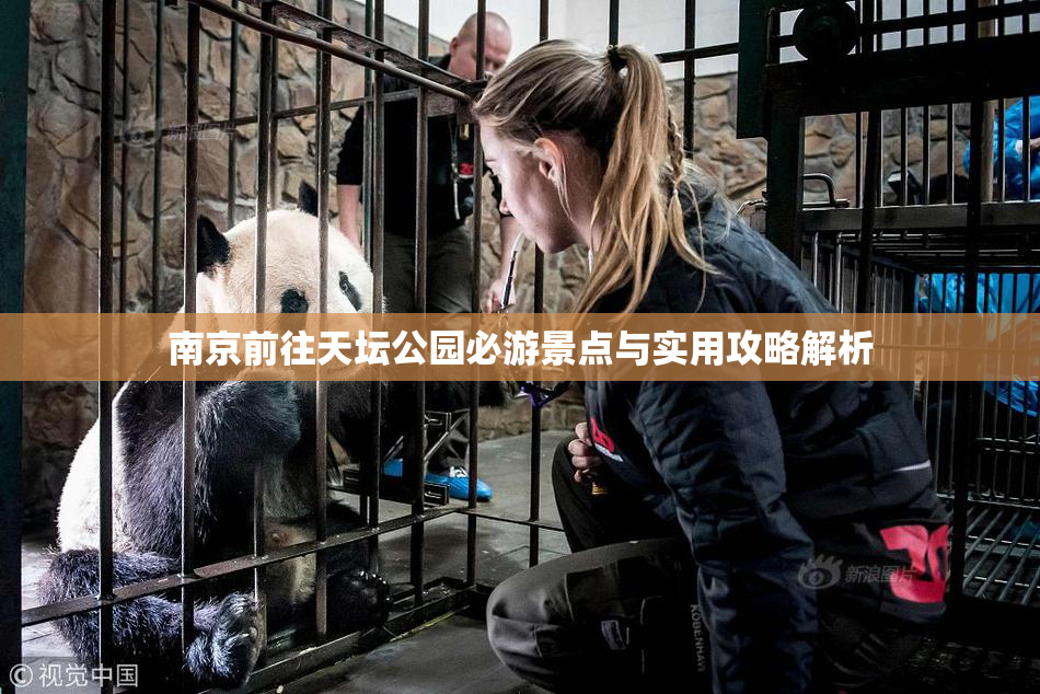 南京前往天坛公园必游景点与实用攻略解析