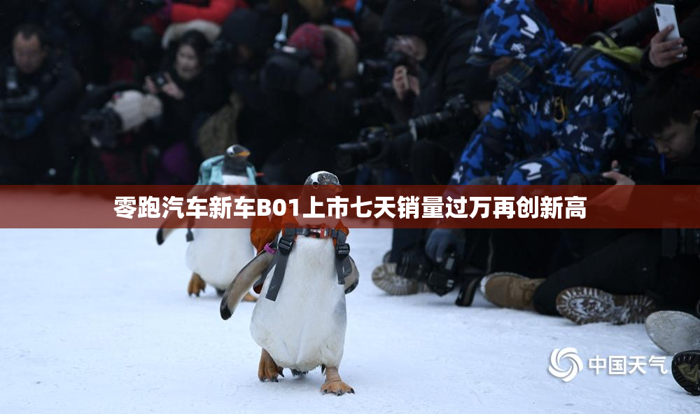 零跑汽车新车B01上市七天销量过万再创新高