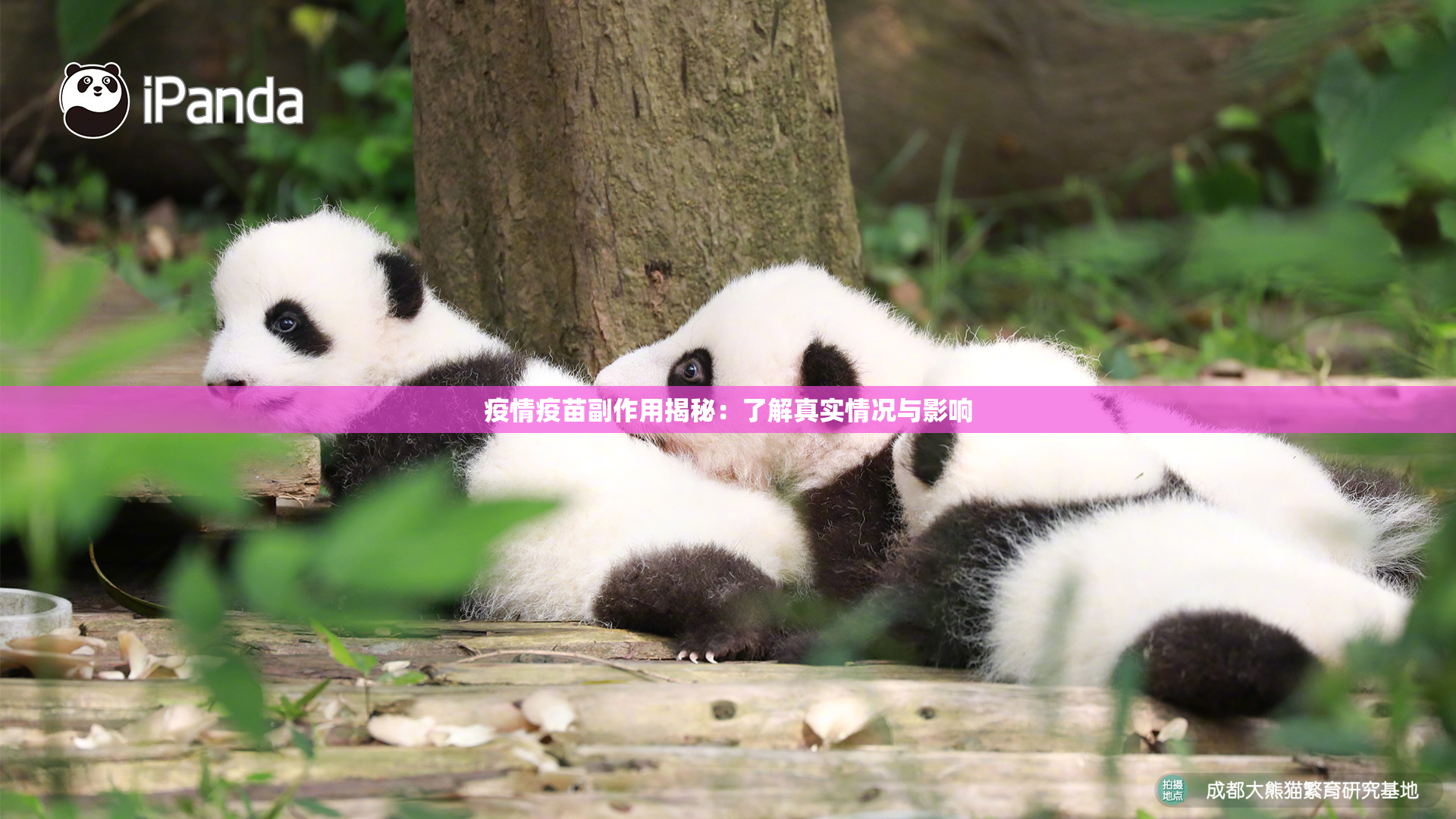 疫情疫苗副作用揭秘：了解真实情况与影响