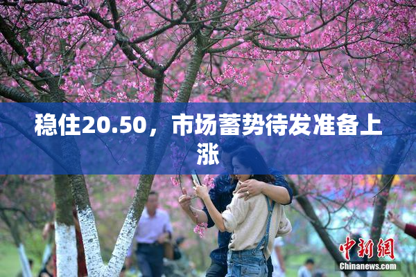 稳住20.50，市场蓄势待发准备上涨