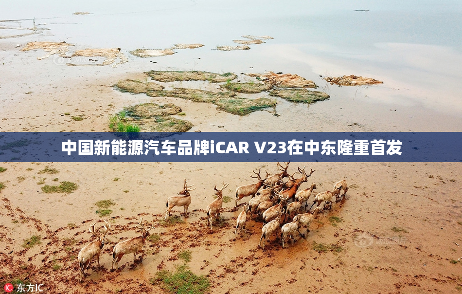 中国新能源汽车品牌iCAR V23在中东隆重首发