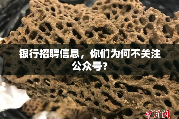 银行招聘信息，你们为何不关注公众号？