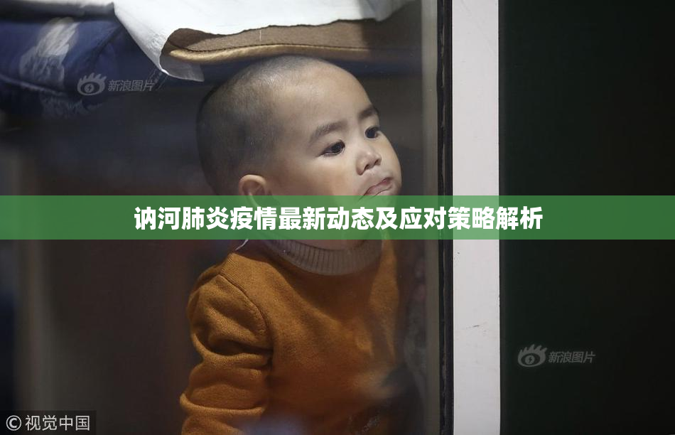 讷河肺炎疫情最新动态及应对策略解析