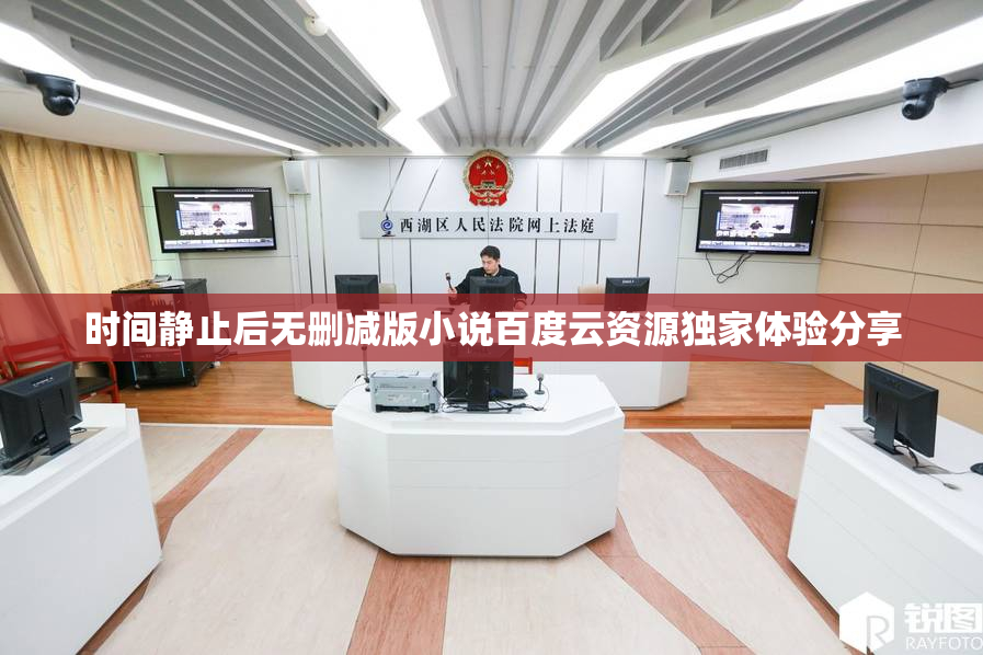 时间静止后无删减版小说百度云资源独家体验分享