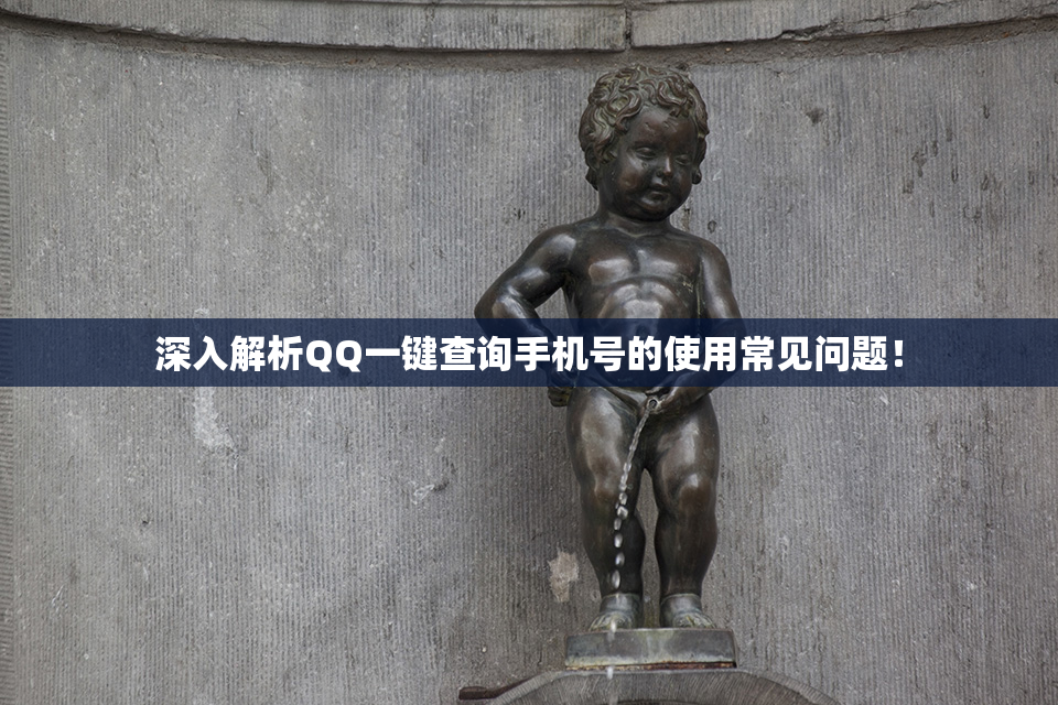 深入解析QQ一键查询手机号的使用常见问题！