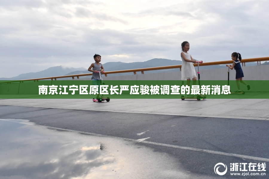 南京江宁区原区长严应骏被调查的最新消息