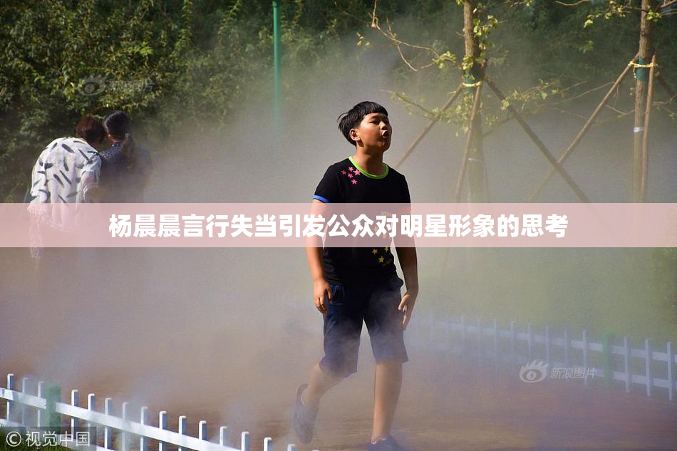 杨晨晨言行失当引发公众对明星形象的思考