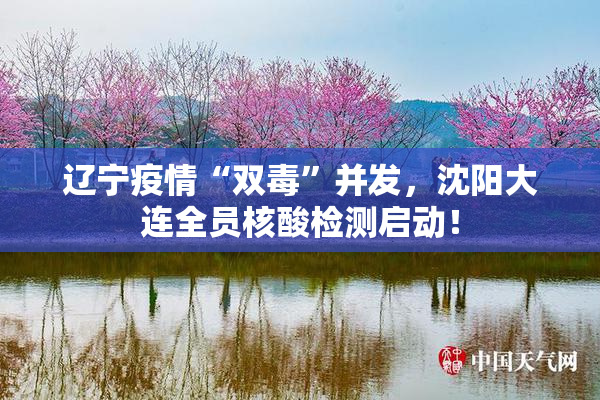 辽宁疫情“双毒”并发，沈阳大连全员核酸检测启动！
