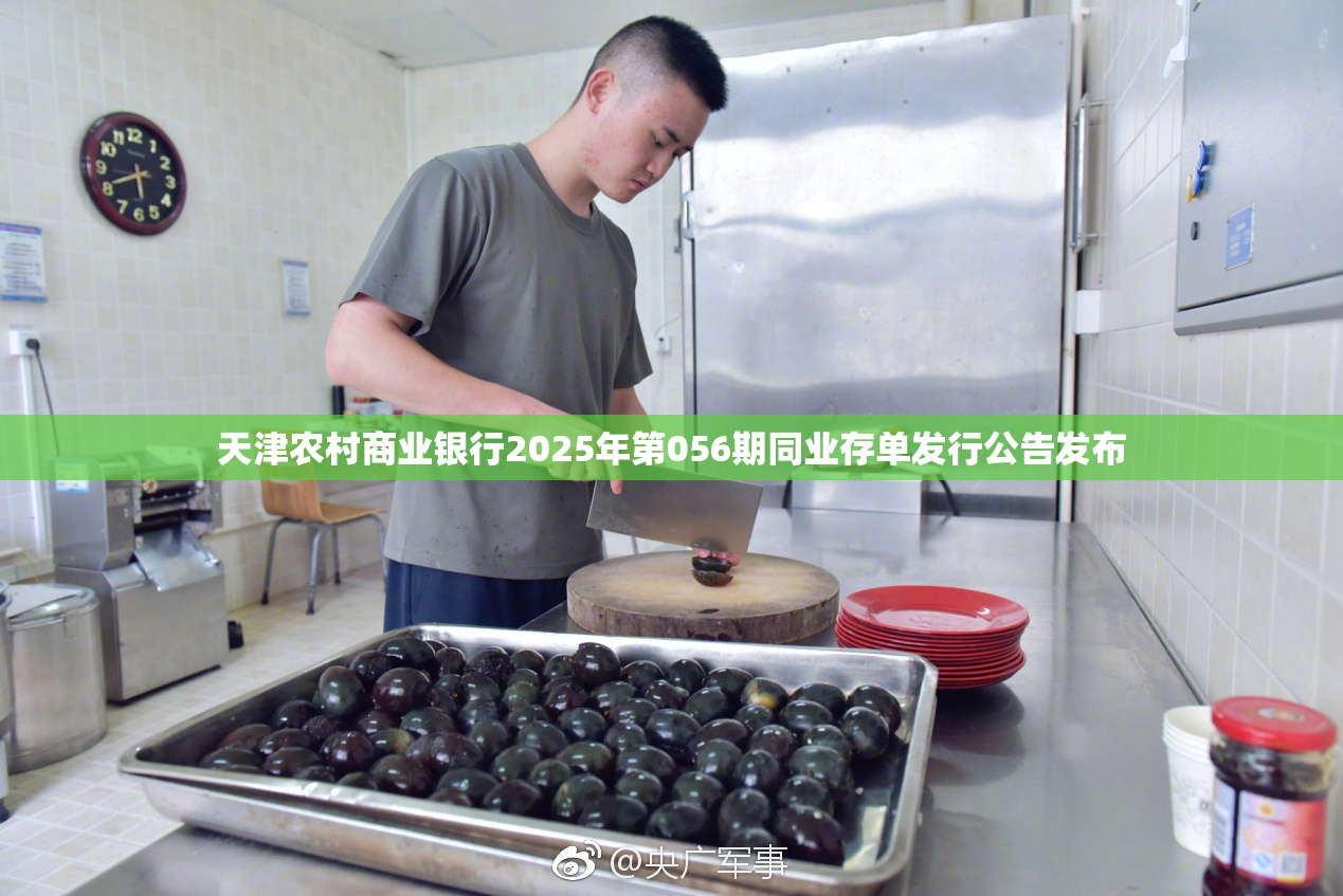天津农村商业银行2025年第056期同业存单发行公告发布