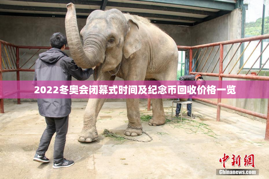2022冬奥会闭幕式时间及纪念币回收价格一览