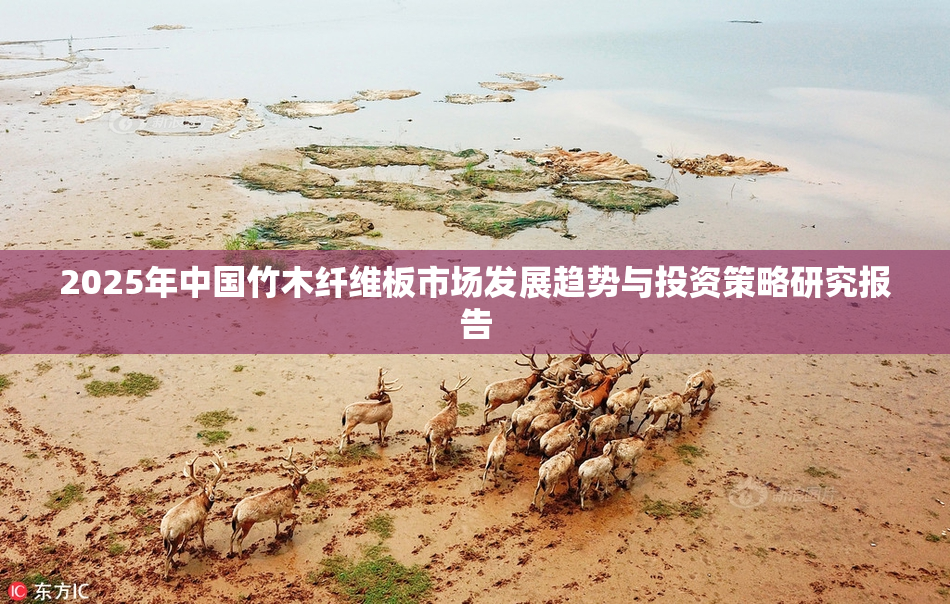 2025年中国竹木纤维板市场发展趋势与投资策略研究报告