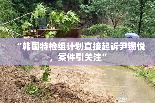 “韩国特检组计划直接起诉尹锡悦，案件引关注”