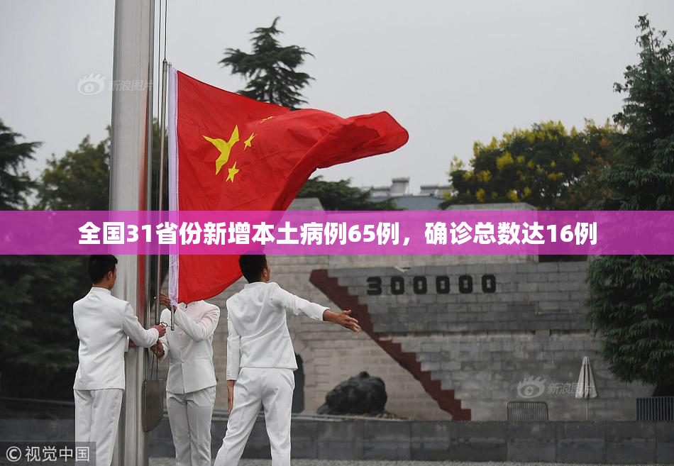 全国31省份新增本土病例65例，确诊总数达16例