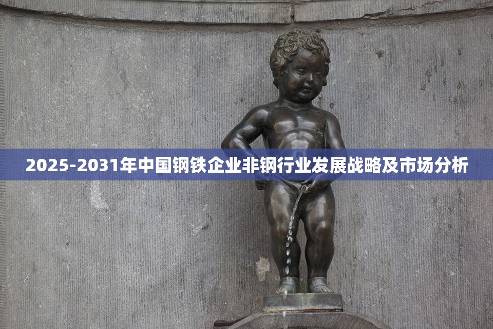 2025-2031年中国钢铁企业非钢行业发展战略及市场分析