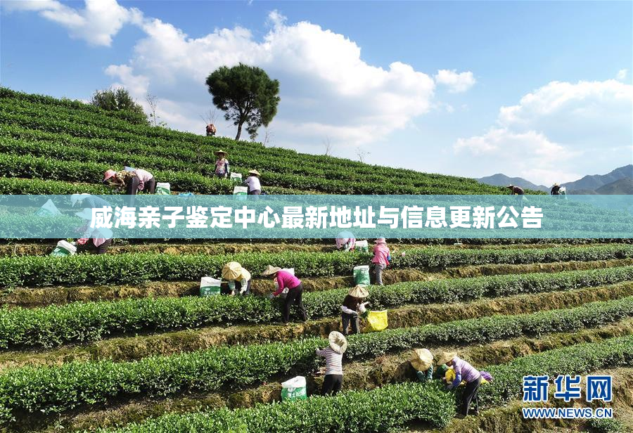 威海亲子鉴定中心最新地址与信息更新公告