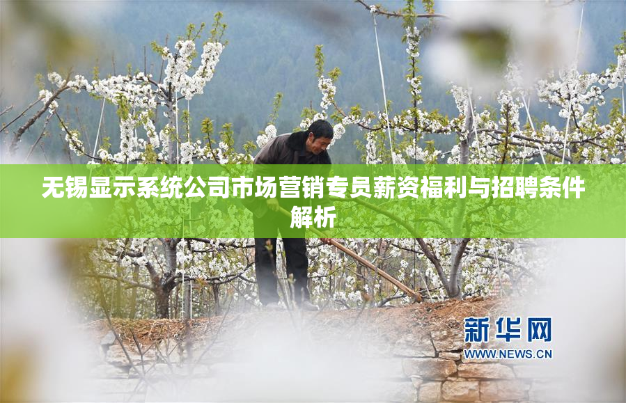 无锡显示系统公司市场营销专员薪资福利与招聘条件解析