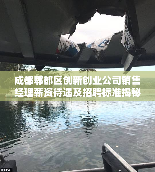 成都郫都区创新创业公司销售经理薪资待遇及招聘标准揭秘