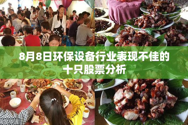 8月8日环保设备行业表现不佳的十只股票分析