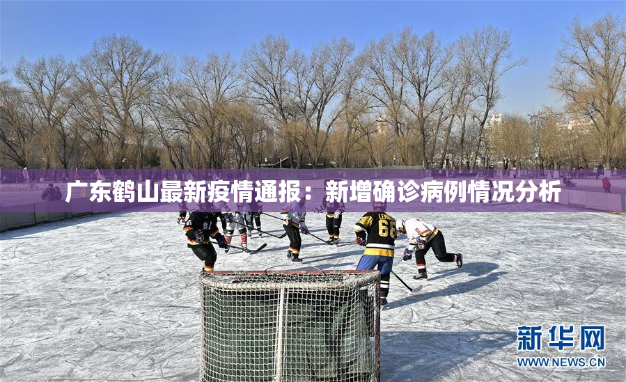 广东鹤山最新疫情通报：新增确诊病例情况分析